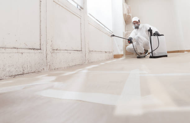 24/7 Emergency Mold Cleanup experts in Haymarket, VA