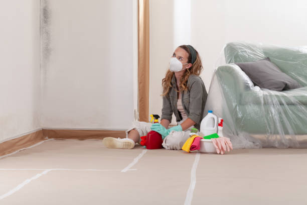 Reliable Mold Cleanup contractor in Haymarket, VA by Cheap Mold Removal